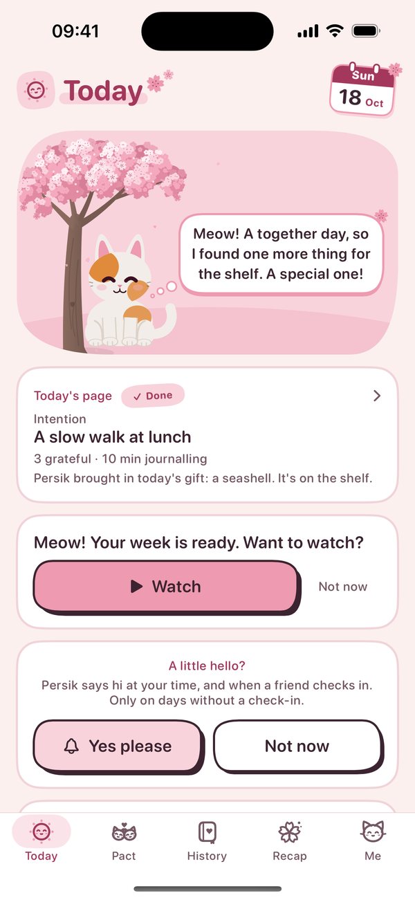 Today: your cat and your days together